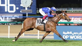 Dubai Preview: Spot Plays for 2023 World Cup Day turf races