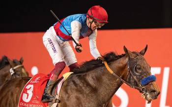 Dubai World Cup 2023 Field, Tips, Betting Odds, Results