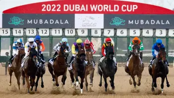 Dubai World Cup Carnival Week 5 Tips February 3rd