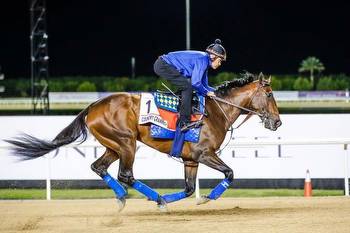 Dubai World Cup, Kentucky Derby preps around world mark weekend horse racing