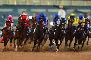 Dubai World Cup opens a betting bonanza for local racing fans