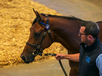 Dubawi still going strong as he achieves notable Book 1 hat-trick