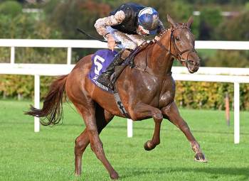 Dubawi's Elizabeth Jane Surges To TDN Rising Stardom With Leopardstown Romp