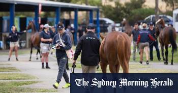 Dubbo races Monday: Paul Clisby and Maryland Bridge ready to step up