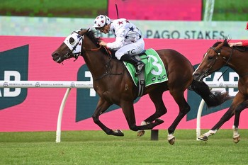 Dublin Down Books 2024 Golden Slipper Berth with Pago Pago Victory