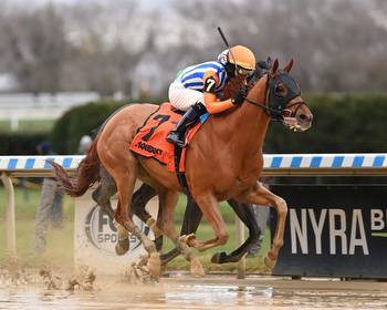 Dubyuhnell Outduels Arctic Arrogance In Kentucky Derby Prep