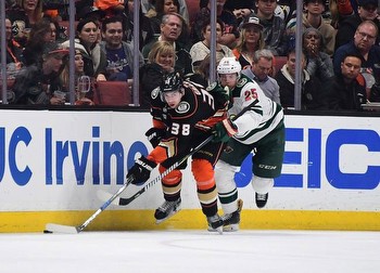 Ducks vs Wild Prediction NHL Picks 3/14/24