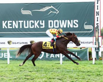 Dueling Grounds Derby winner Kitodan named HBPA's Claiming Horse of the Year