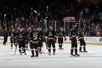 Duhatschek: Why the NHL should move the Coyotes to Salt Lake City and avoid expansion