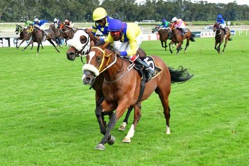 Dust-ups deluxe on Summer Cup day