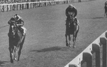 Topics: York Racecourse, Looking Back, Barry Hills, Roberto, Brigadier Gerard, Braulio Baeza, John Galbreath, Vincent O'Brien, Benson and Hedges Gold Cup, Lester Piggot, Juddmonte International