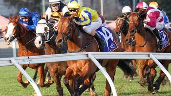 Early Cox Plate, Manikato Stakes, Spring Champion Stakes and The Invitation tips