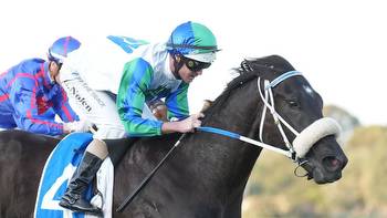 Early Golden Eagle, Victoria Derby, Coolmore Stud Stakes and Empire Rose Stakes tips