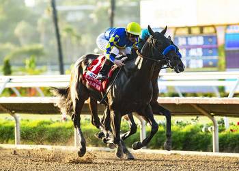 Early look at the top Kentucky Derby contenders in 2024
