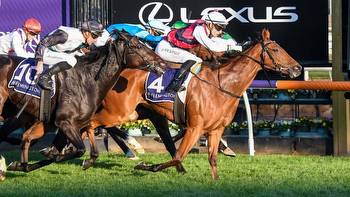 Early Oil: Flemington best bets, preview for Saturday June 3