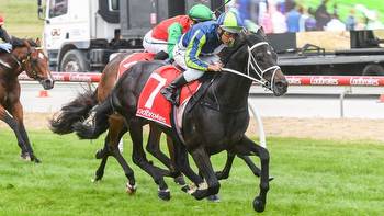 Early Oil: Pakenham Cup day best bets, tips and preview