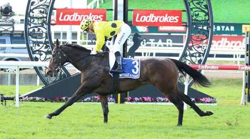 Easy trial for 2023 Melbourne Cup hopeful Without A Fight