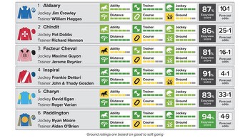 Easyview: who comes out best of the runners in the Sussex Stakes at Glorious Goodwood?