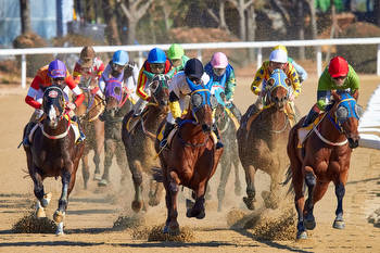 Echo Zulu Starts In Her First Race Since May