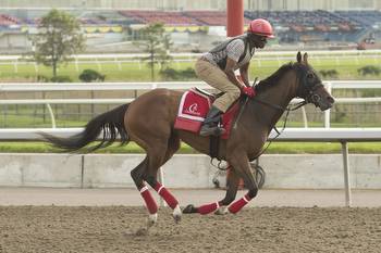 Eight Sophomore Fillies Chase Top Prize in $250K Wonder Where