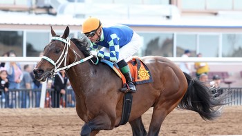 El Paso connections are hopeful for success in Breeders' Cup