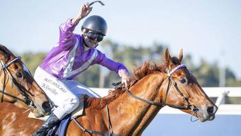 Elite Street primed for the Colonel Reeves Stakes