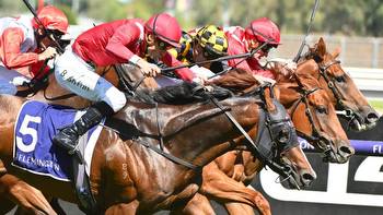 Elliptical sizzles in CS Hayes Stakes wn at Flemington