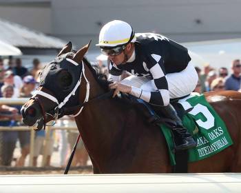 Ellis Park's "Super Sunday" Coming Up: Interstatedaydream Headlines Field for Groupie Doll Stakes