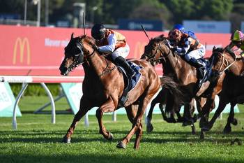 Ellsberg short odds favourite in The Five Diamonds