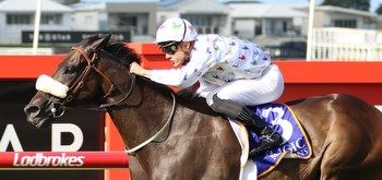 Emerald Kingdom to carry multi coloured chickens in Magic Millions Cup