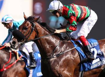 'Emperor' Outbattles 'Warrior' In Champions and Chater Cup