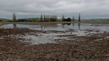 Endless winter: Hawke's Bay crop growers' rain pain