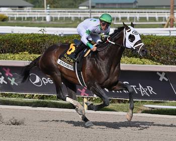 Endorsed Continues Hot Streak, Takes G2 Gulfstream Park Mile