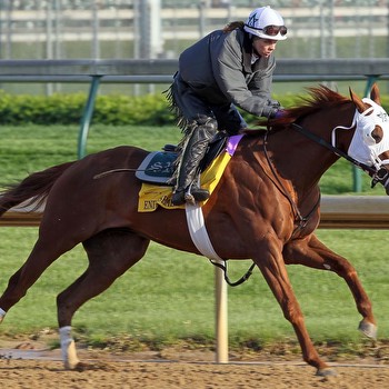 Endorsement: A Racehorse in the Purest Sense (And a Whitney Handicap Contender)
