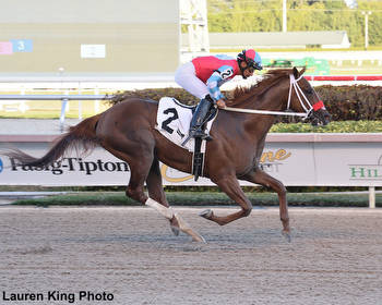 Equibase Analysis: In Due Time Capable Of Upsetting Gulfstream's Derby Prep