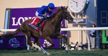 Erroneous scratch angers bettors at Breeders' Cup at Del Mar