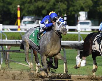 Essential Quality looms large in the Travers