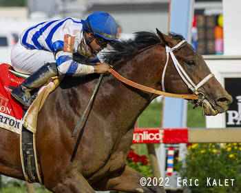 Ethereal Road Takes Overland Route In Sir Barton Stakes At Pimlico