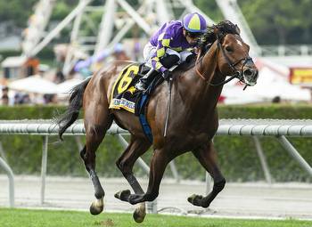 Exaulted Stays Perfect On Turf, Secures BC Mile Berth in Shoemaker Mile