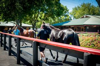 Exceptional 2024 National Yearling Sale Catalogue now online