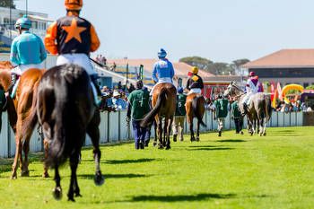 Exciting Boost For Cape Racehorse Ownership!