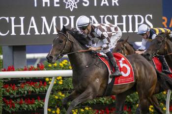 Exciting filly heads back to Randwick