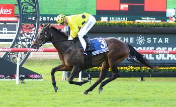 Exciting import heads early odds in the Caulfield Cup