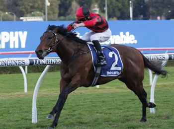Exciting sprinter heads early odds in the Carlyon Stakes
