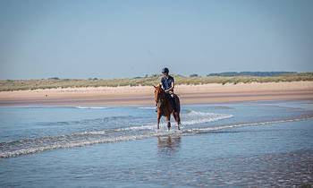 EXCLUSIVE INTERVIEW: The Eagle has landed: £7,000 horse hoping to take Royal Ascot by storm