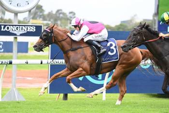 Expat a picture of health ahead of Mona Lisa Stakes