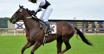 Experience the thrills of horse racing at Newton Abbot: A day packed with excitement and enjoyment!