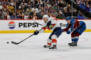 Expert NHL Best Bets and Predictions for Friday, January 19