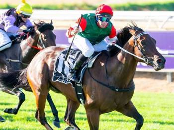 Experts side with star local in Northerly Stakes at Ascot