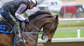 Exploring the Benefits of Technology in Horse Racing